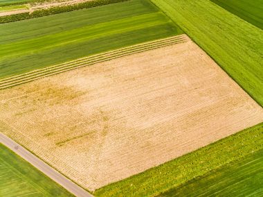 Alanlar ve çayırlar havadan gördün. Dronlar ile ekili alanlar.