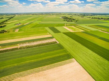  Kırsal ve alan kuş bakışı gördüm. Ufka uzanan kırpma alanları.