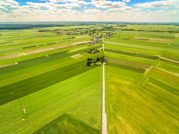 Landsbygden och fältet sett från den fågelperspektiv. Gröda fält som sträcker sig till horisonten. — Stockfoto