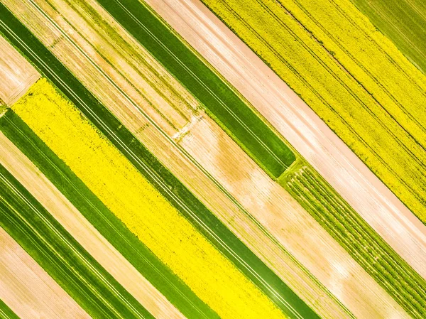 Поля для сбора урожая видны с воздуха. Красочное поле изнасилования . — стоковое фото