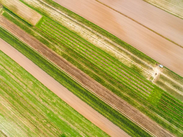 Landsbygdens Landskap Sett Från Luften Odlade Fält Sett Från Den — Stockfoto