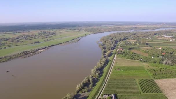 Μια Πτήση Πάνω Από Τον Ποταμό Βιστούλα Αγροτικού Τοπίου Δει — Αρχείο Βίντεο