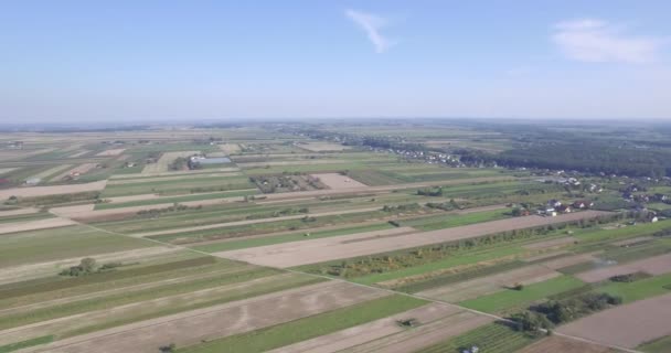 从空中看到的乡村景观 耕种的领域和农场 鸟的眼睛看法 — 图库视频影像