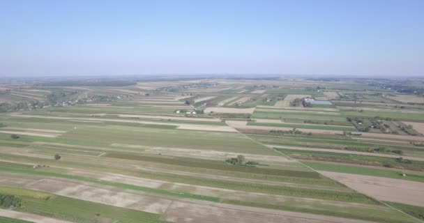 Cultivated Fields Seen Bird Eye View Rural Landscape Air Flight — Stock Video