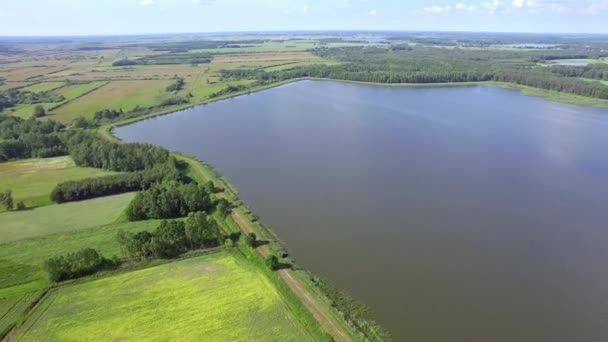 Flight Lake Cultivated Fields Coastline Lake Seen Bird Eye View — Stock Video