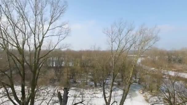 冷凍川に向かってツリー間のフライト 鳥の目のビューから見た川と冬の風景です 鳥の目のビューから見た川 氷と雪のある冬景色 — ストック動画