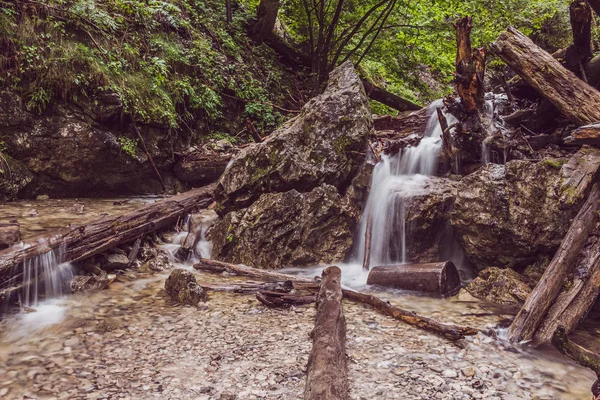 Een Stroom Die Stroomt Door Een Kloof Het Forest Water — Stockfoto