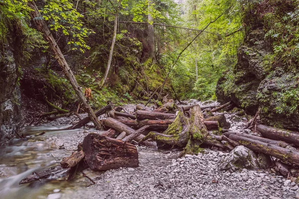 Toeristische Wandeling Door Kloof Landschap Het Slowaakse Paradijs Een Kloof — Stockfoto