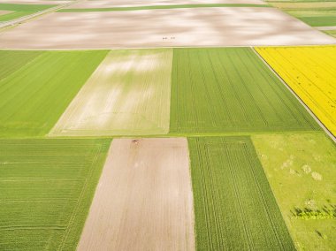 Tarım manzara havadan gördün. Kuş bakışı görülen renkli tarım arazileri.