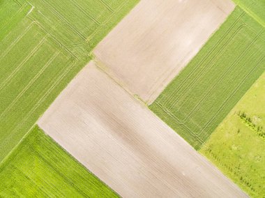 Bir kuş bakışı ekili alanların peyzaj. Tarım manzara havadan. Arka plan.