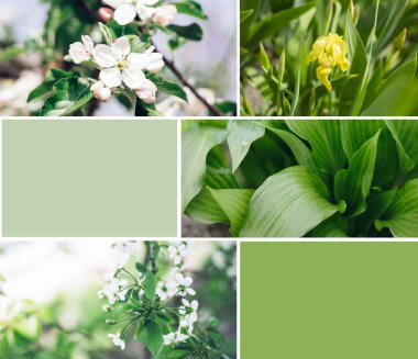 Yeşil renk farklı şekilde