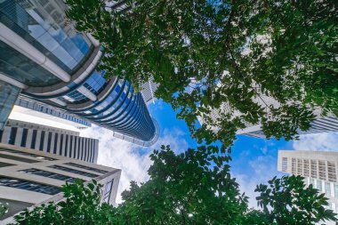 Ağaçların arasından ararken gökdelenler