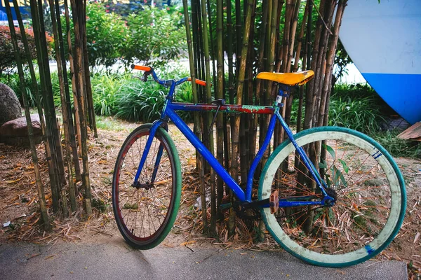 Stary Rower Kolorowe Bambusa Stary Płot Bambusowy Jako Tło Rowerów — Zdjęcie stockowe