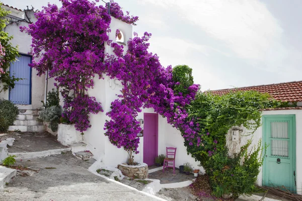 Alonissos, Ilhas Sporades, Grécia — Fotografia de Stock