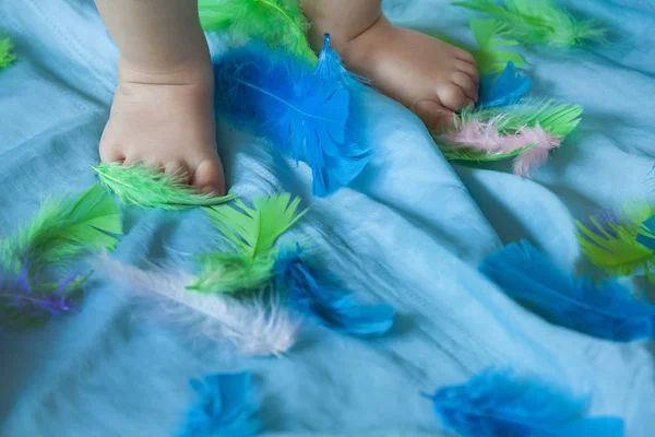 Baby boy's feet and feathers — Stock Photo, Image