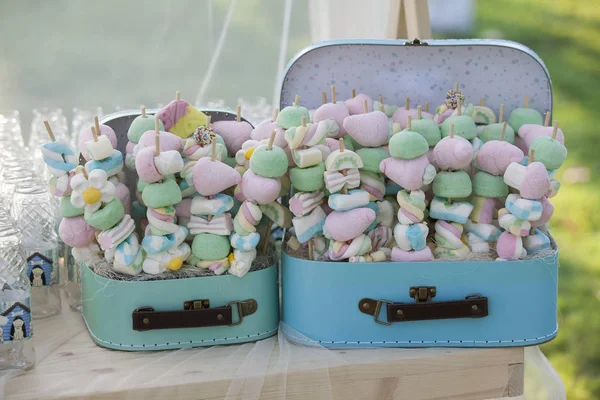 Muitos belos marshmallows coloridos pastel em paus — Fotografia de Stock