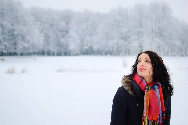 Portrét mladé usměvavá brunetka v destinaci winter Park Stock Snímky