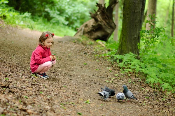 Niña pequeña alimenta palomas urbanas palomas en el parque —  Fotos de Stock