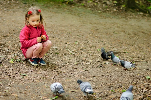 Chica rizada alimenta palomas urbanas palomas en el parque . —  Fotos de Stock