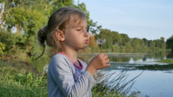 Kleines blondes Mädchen mit blauen Augen bläst Löwenzahn an einem Tag im Frühherbst auf dem See Hintergrund. — Stockvideo