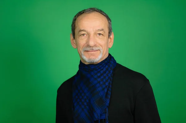 Симпатичный симпатичный пожилой седовласый мужчина с хорошо отделанной бородой в черном свитере и голубым клетчатым шарфом вокруг шеи, смотрящий на камеру на зеленом фоне в студии — стоковое фото
