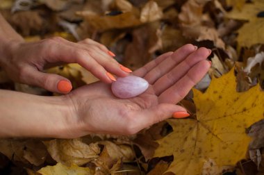 Turuncu manikürlü kadın eli, sonbahar günü açık havada düşen sarı yapraklar üzerinde vumfit, imbuilding veya meditasyon için pembe kuvars yumurtası tutuyor.