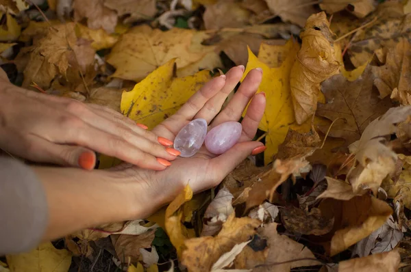 Female hands with orange manicure holding two yoni eggs made from pink quartz and transparent violet amethyst for vumfit, imbuilding or meditation on yellow fallen leaves background during autumn