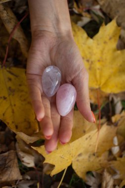 Turuncu manikürlü bir kadın elinde pembe kuvarstan yapılmış iki yoni yumurtası ve sonbaharda düşen sarı yapraklar üzerinde vumfit, imbuilding veya meditasyon için saydam menekşe ametist taşıyor.