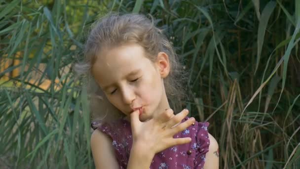 Schönes kleines blondes Mädchen in violettem Kleid mit Pferdeschwanz isst einen Tag lang Schokoladenbonbons im Park, Konzept der Zuckersucht — Stockvideo