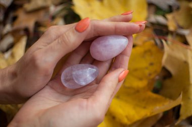 Turuncu manikürlü bir kadın elinde pembe kuvarstan yapılmış iki yoni yumurtası ve sonbaharda düşen sarı yapraklar üzerinde vumfit, imbuilding veya meditasyon için saydam menekşe ametist taşıyor.