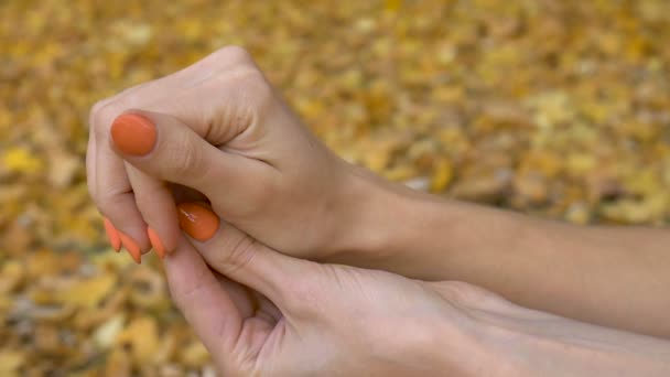 Mano femenina con manicura naranja sosteniendo huevo de cuarzo rosa yoni para vumfit, imbuilding o meditación sobre fondo de hojas amarillas caídas durante el día de otoño al aire libre — Vídeo de stock