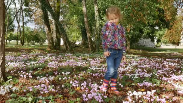 Nettes kleines blondes Mädchen in Jeans und farbenfroher Jacke mit floralem Print pflückt Blumen im Frühlingswald — Stockvideo