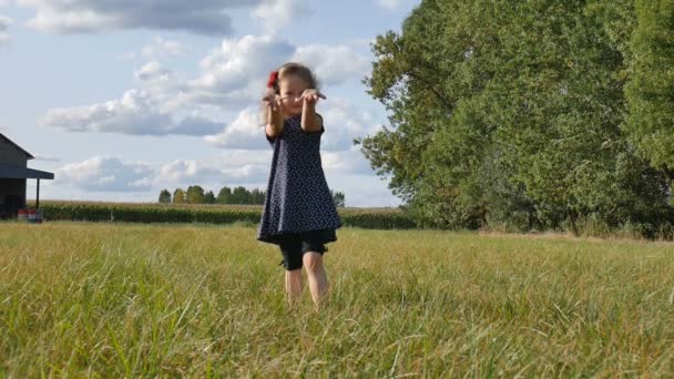 Blond krullend meisje speelt in groen gras tijdens de zonnige zomerdag het dragen van blauwe korte jurk en donkere legging — Stockvideo