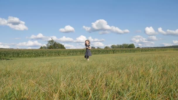 Блондинка бежит на кукурузное поле в зеленой траве в солнечный летний день в синем коротком платье и темных леггинсах — стоковое видео