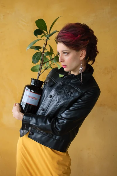 Studioporträt einer glamourösen Dame im Punk-Rock-Stil mit dunkelrosa Mohawk in lässigem Kleid, schwarzer Lederjacke und langen Ohrringen auf gelbem Hintergrund, die einen Blumentopf mit Ficus in der Hand halten — Stockfoto