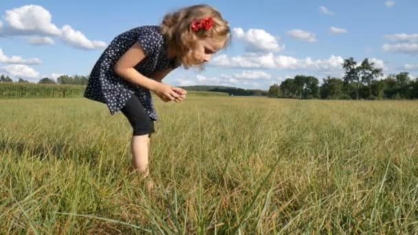 Blond krullend meisje vangt een sprinkhaan in groen gras tijdens zonnige zomerdag het dragen van blauwe korte jurk en donkere leggings — Stockvideo