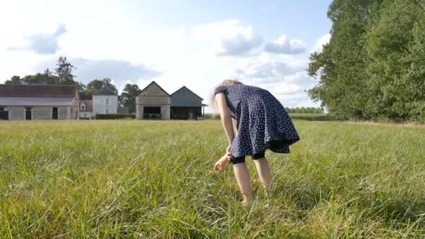 Sarışın kıvırcık kız, güneşli yaz gününde yeşil çimenlerde mavi kısa elbise ve koyu tozluklarla çekirge yakalar. — Stok video