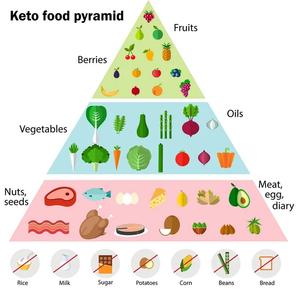 Κετογόνο Τροφή Διατροφής Χαμηλής Περιεκτικότητας Υδατάνθρακες Υψηλά Υγιή Λίπη — Διανυσματικό Αρχείο