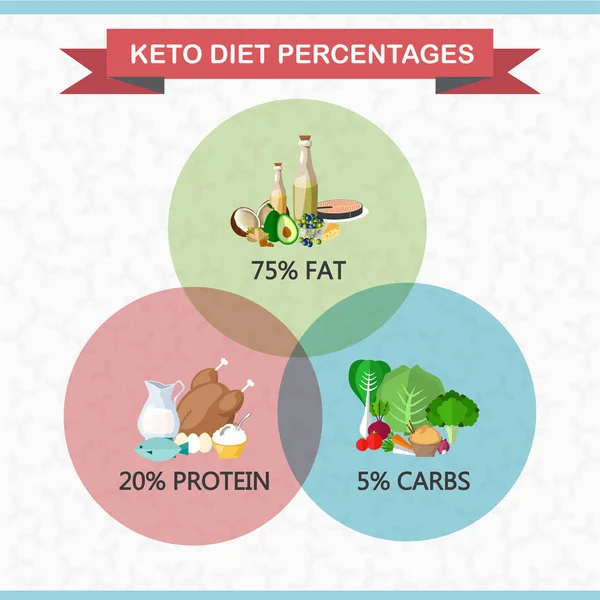 Ketogenic Diet Food Low Carb High Healthy Fats — 스톡 벡터