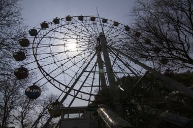 Dönme dolap arka ışık