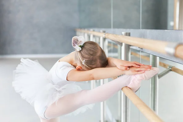 Little ballerina is studying in ballet classical school. Cute child girl is doing stretching exercises with leg on barre. Kid is wearing in white ballet clothes and dancing dress with tutu skirt.