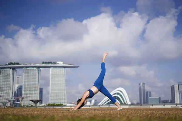 Sportliche Asiatische Chinesische Yoga Praktizierende Beim Training Unter Der Sonne — Stockfoto