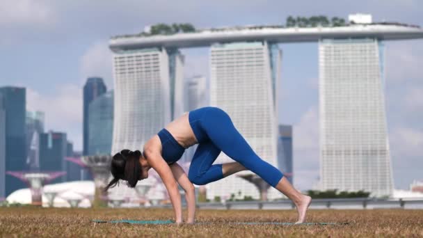 Asya Çinli Kadın Yogi Dışarıda Güneşin Altında Yoga Egzersizi Yapıyor — Stok video