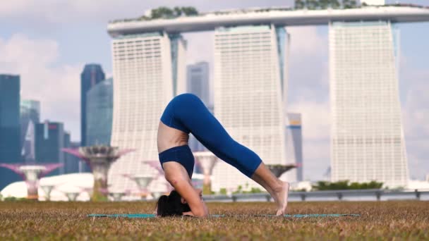 Asiático Chino Femenino Yogui Ejercicio Yoga Aire Libre Bajo Sol — Vídeo de stock