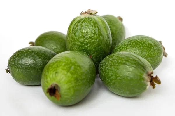 Masada yeşil feijoa