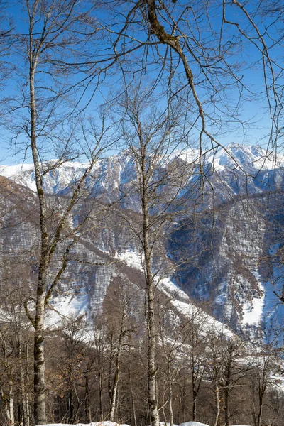 Karda dağ