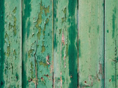 Yeşil çit ile çatlak ve çizikler. Eski tahtaları çivi ile boyalı. Yağmur ahşap yüzeyindeki lekeleri.