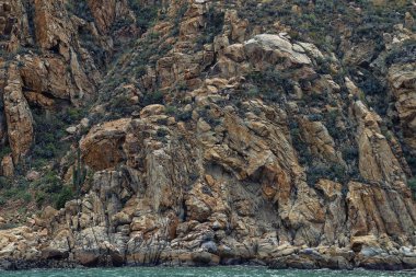 Kayalık okyanus kıyısı