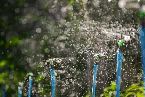 Plantas de riego Trabajando en la granja agrícola, Primer plano — Foto de Stock