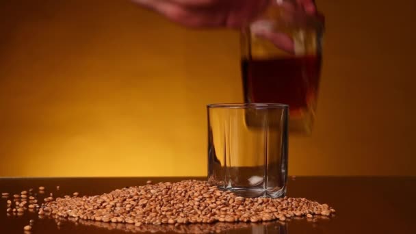 Verre rempli de whisky à une bouteille. Une poignée de blé est versée près du verre — Video